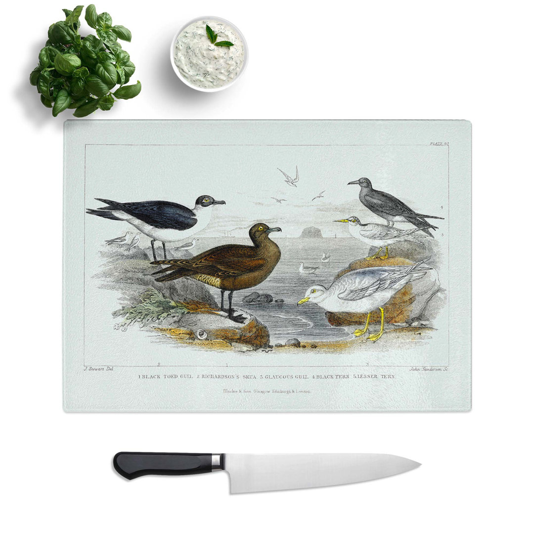 Glass Gulls & Tern Birds by Oliver Goldsmith Chopping Board