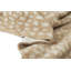 Acadia Animal Print Area Rug in Beige