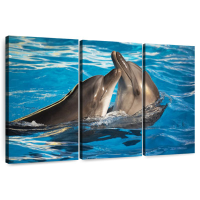 Dauphins à gros nez Brampt