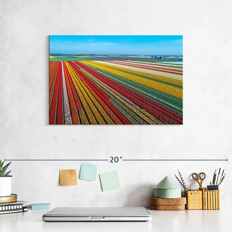 Ferme de tulipes sans fin Alvord, H 8 po x l 12 po