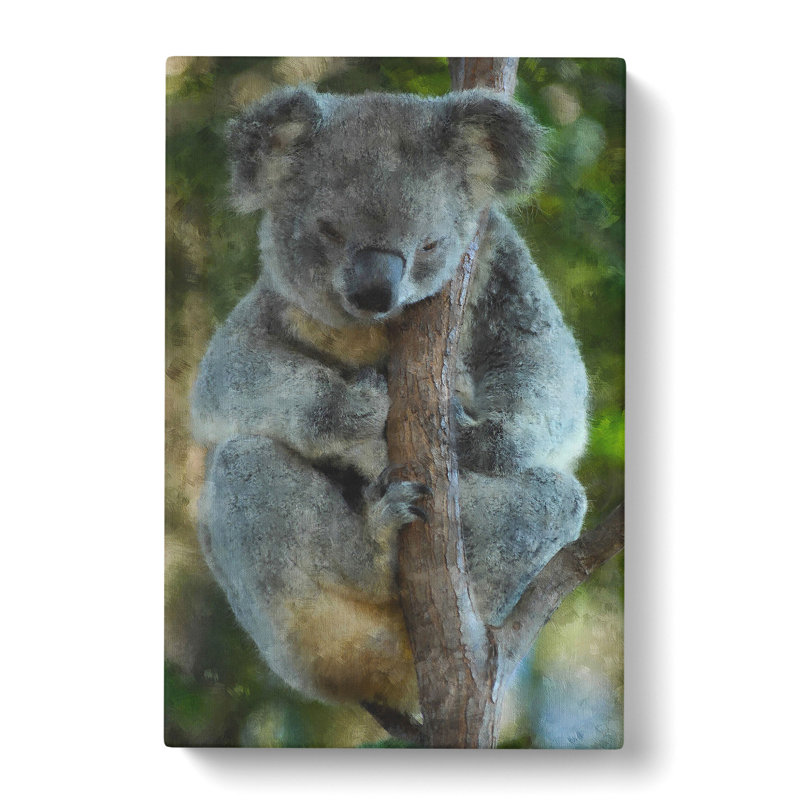 Koala Bear Vol.1 - Wrapped Canvas Print, 60cm H x 40cm W x 3cm D
