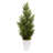 27'' Faux Cedar Tree in Ceramic Planter-1664355083