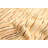 Wool Southwestern Indoor Rug