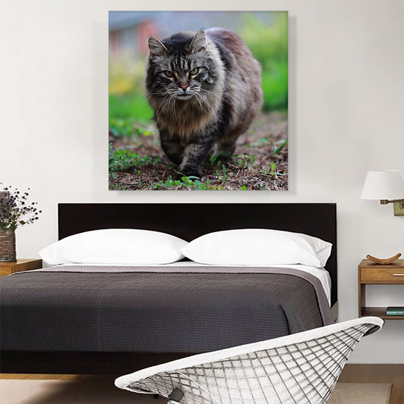 " American Bobtail Cat ", 36" H x 36" W x 1.5" D