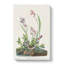 Field Sparrow - Wrapped Canvas Painting-55370360