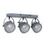 Roark Ceiling Spotlight