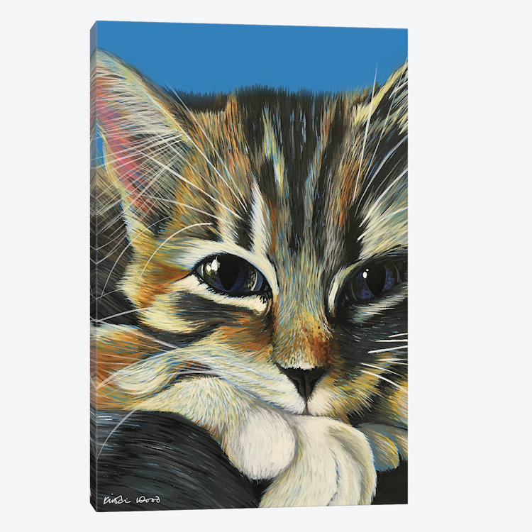 «Tabby on Blue», impression sur toile, H 12 po x l 8 po x P 0,75 po, Toile tendue