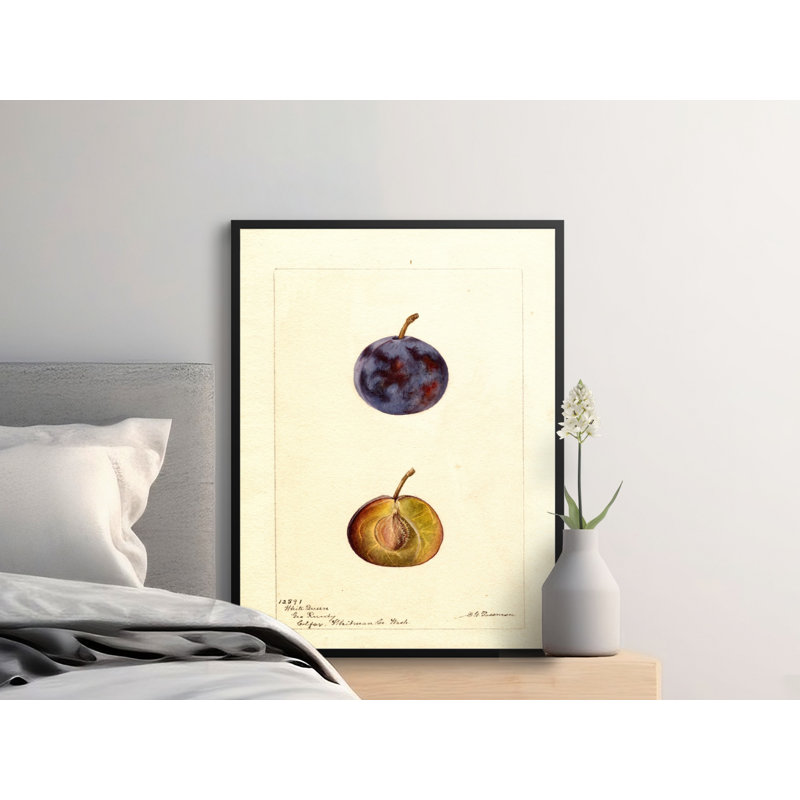 Vesperina No Frame Print, 24x36