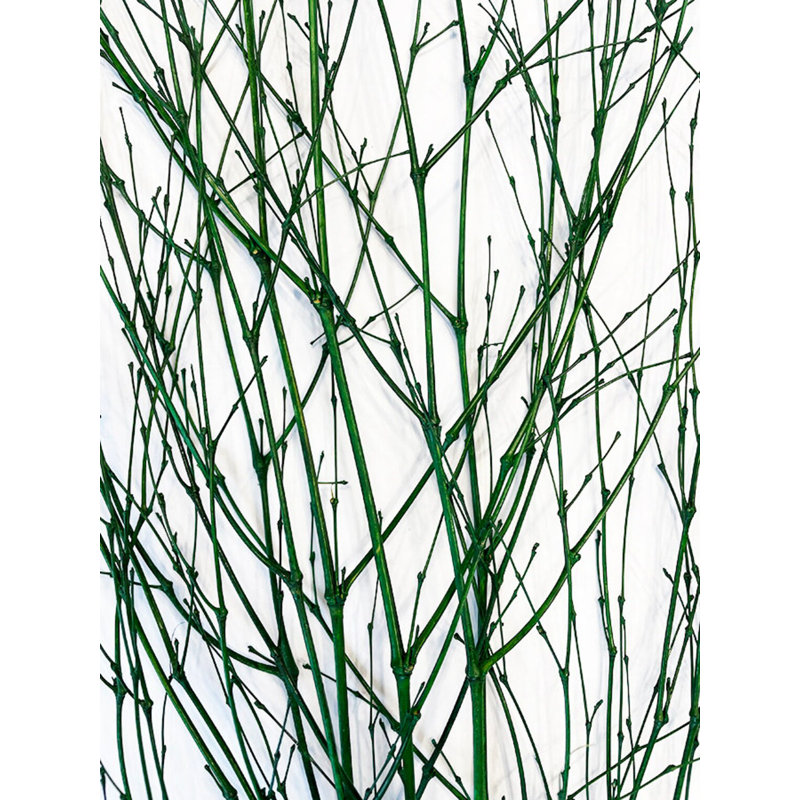 Mixed Assortment Arrangement, Green