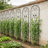 Rustproof Iron Trellis Elegant Design Outdoor Climbing Plant Support