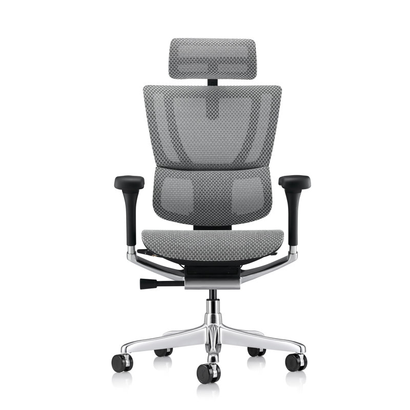 Ergohuman ME2ERG-XTREME High Back Mesh Office Chair, Gray