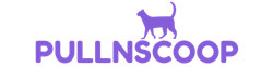 Logo PULLNSCOOP