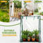 36 po x 36 po x 43 po Serre en PVC transparent avec sous-tapis en PE