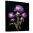 Black Floater Framed selected