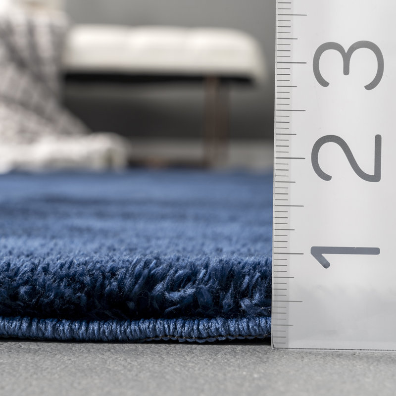 Loni Solid Machine Washable Plush Area Rug for Living Room Bedroom Dining Room Nursery, Round 4'