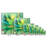 " Cactus "-1759310886