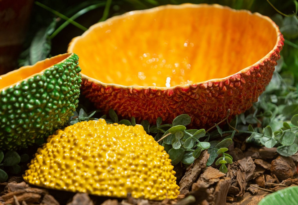 The Amazonia Collection