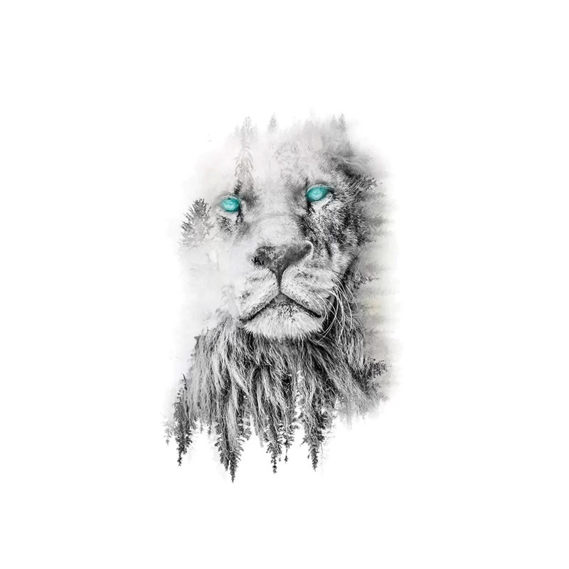 Whiteout Lion by Paul Haag - Wrapped Canvas Print, 45.72cm H x 30.48cm W x 1.91cm D