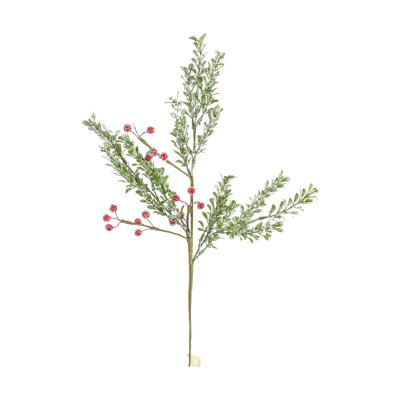 Berry Arrangement