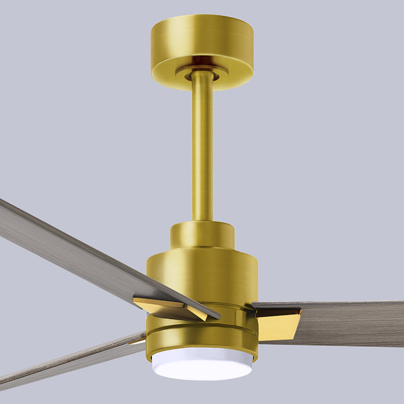 Alessandra - Three Blade Transitional Ceiling Fan -LED, 56", Brushed Brass, Gray Ash Tone
