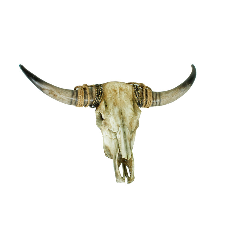 Animals Wall Decor