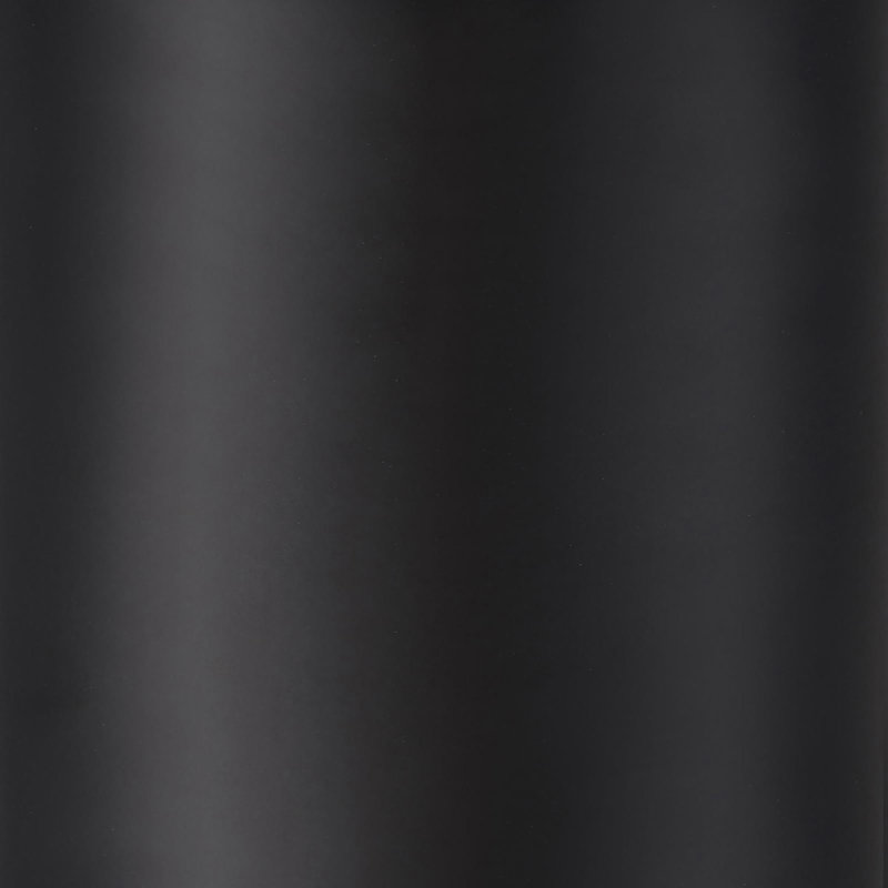 Black 12-Hook Coat Rack