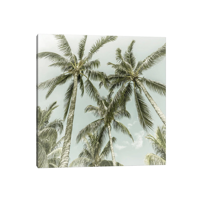 Lovely Palm Trees | Vintage 1 Piece Wrapped Canvas Wall Art, 45.72cm H x 45.72cm W