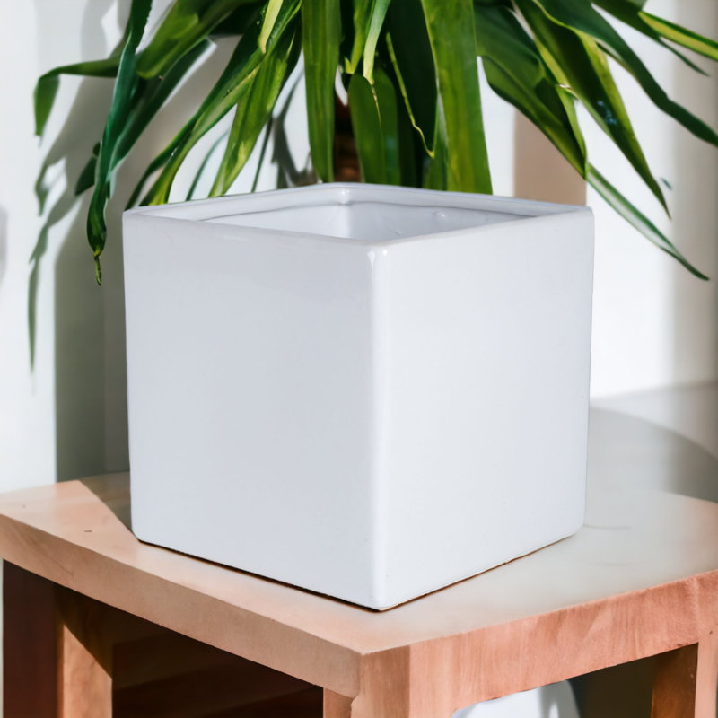 Boîte à fleurs carrée en céramique Lonsdale, H 8 po x l 8 po x P 8 po, Blanc brillant