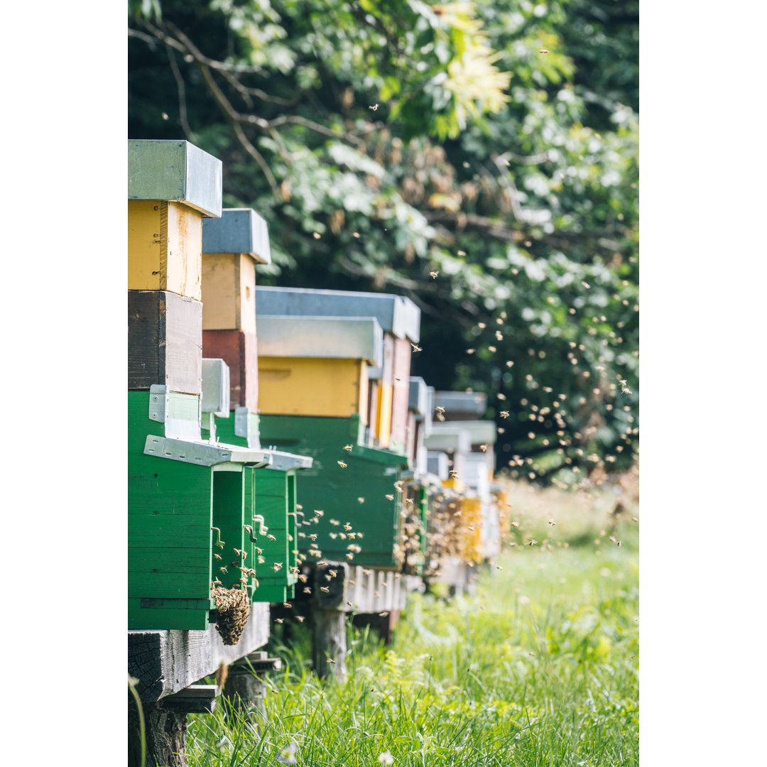 Honey Beehive Colony In A Lush Meadow by AscentXmedia - Drucken