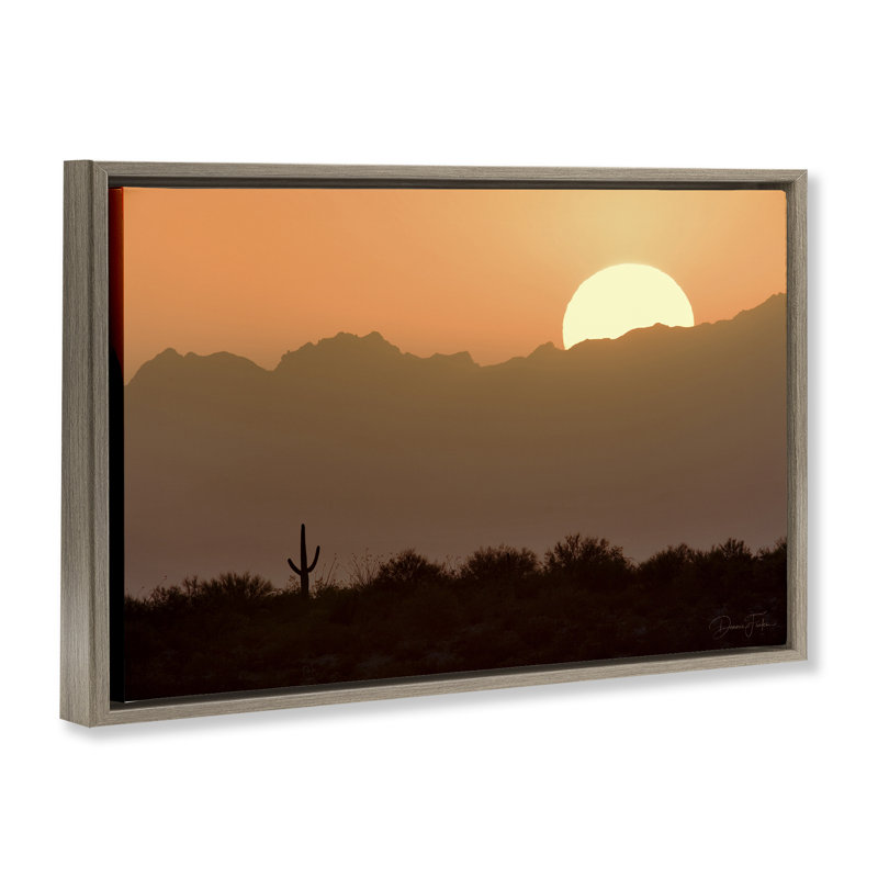 Toile flottante encadrée Sunlit Desert Cactus par Dennis Frates, Cadre flottant orme Montalcino, H 17 po x l 25 po