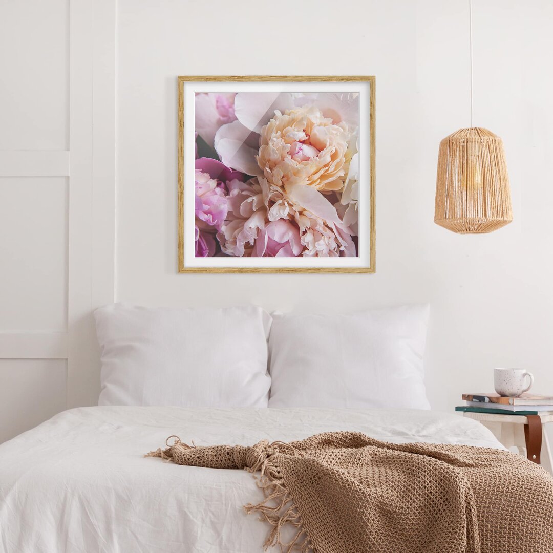 Gerahmtes Poster Flowering Peonies