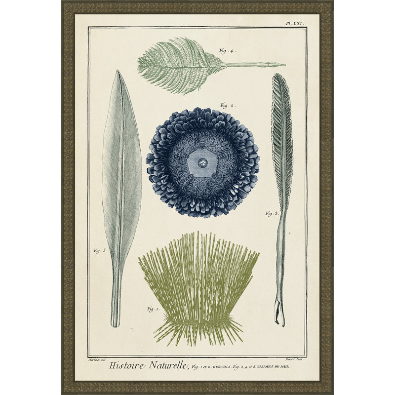 Ocean Oddity II Framed Print with Brown Embellished Wooden Frame