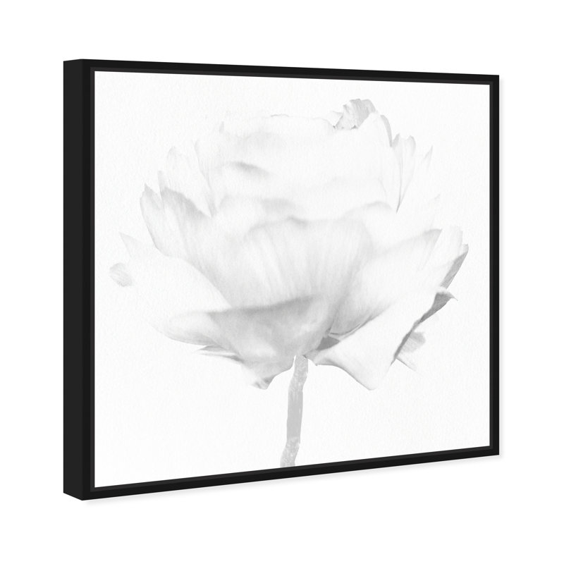 White Peony due Florals - reproduction d'art sur toile, Toile avec cadre noir, H 30 po x l 30 po