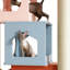 Structure d'escalade moderne et créative pour chat