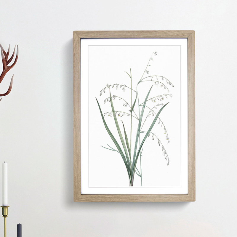 Pale Vanilla Lily Flowers by Pierre-Joseph Redoute - Framed Print, 65cm H x 48cm W x 2cm D, Oak Framed