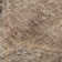 Premium Machine Washable Bucz AMF1745 Geometric Rug