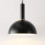 Luminaire suspendu noir 1 lumière Daisymarie