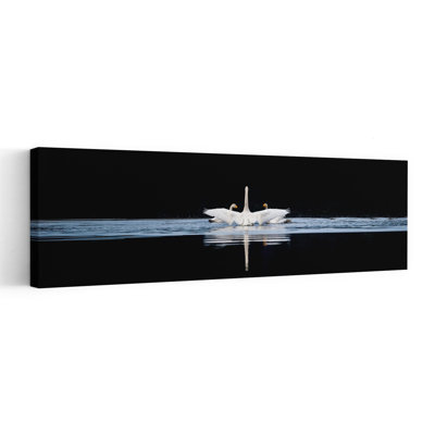 «Graceful Swan Reflection»