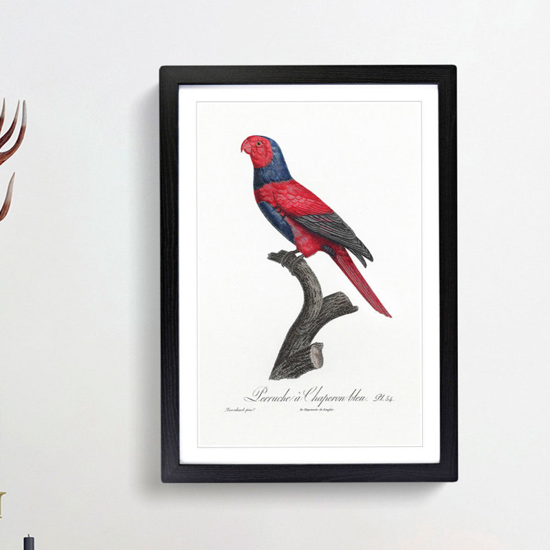 Violet-Necked Lory by F. Levaillant - Picture Frame Painting Print, 65cm H x 48cm W x 2cm D, Black Framed