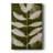 Organic Bloom V -Gallery Wrapped Cavas-541933499