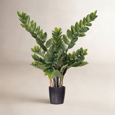 Zen Faux ZZ Plant in Pot