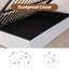 Lit plateforme avec rangement Aristedes-106503225-106503224