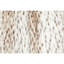 Agrima Animal Print Square Throw Cushion