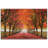 " North Bend Trees "-1109466380