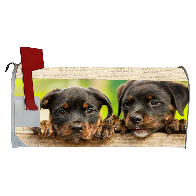 Couvercle de boîte aux lettres Puppy Dog, H 5 po x l 18 po