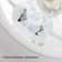Ceiling Fan with LED Lights