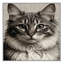  Tapis lavable Cymric Cats-1166187898