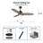 Elisabete 52'' Ceiling Fan with LED Lights