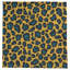 Nappe Football-1576809629-1576809621
