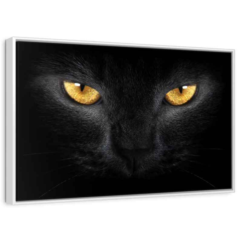 Chat aux yeux jaunes, Cadre flottant blanc, 13 po x 9 po